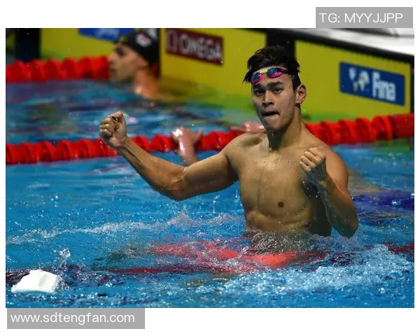 孙杨如何在国际赛场上与世界顶级泳者展开激烈竞争与较量 孙杨如何在国际赛场上与世界顶级泳者展开激烈竞争与较量